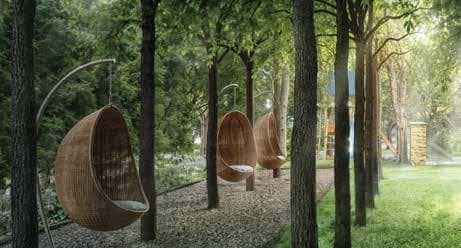 Meditation / Yoga Deck